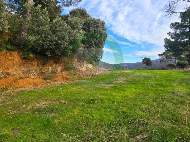 Terreno Urbanizável