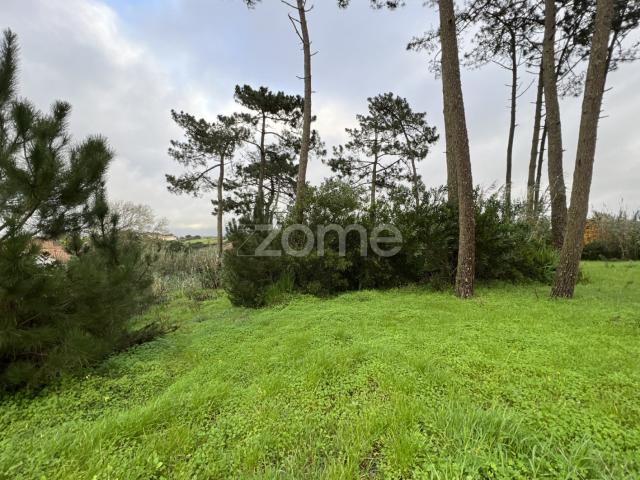Terreno Urbano 3250m2 Gouveia Fontanelas Sintra