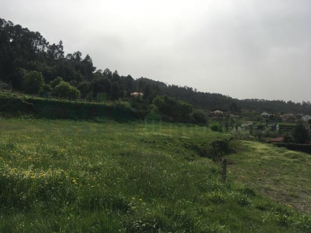 Terreno Urbano