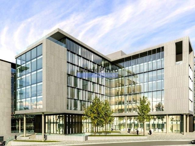 Terreno urbano 39.000m2 p/ construção apartamentos. Portugal, Águeda