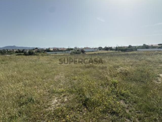 Terreno Urbano Terrugem