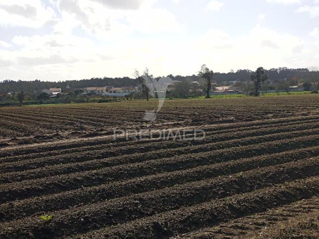 Terreno Urbano Vale de Ilhavo