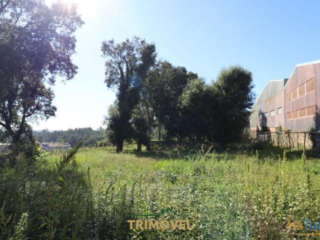 Terreno Urbano Venda em Oliveira de Azeméis, Santiago de Riba Ul, Ul, Macinhata da Seixa e Madail,Oliveira de Azeméis | 26063645304