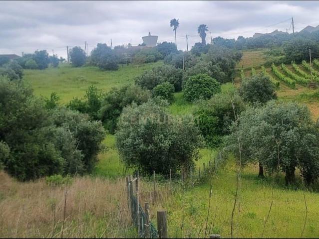 Terreno Urbano à Venda – Brogueira, Torres Novas
