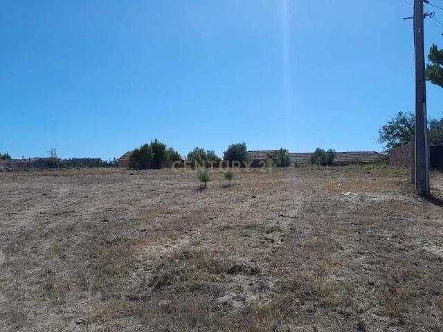 Terreno Urbano à Venda em Juncal, Porto de Mós