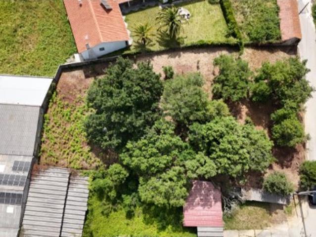 Terreno Urbano | Benedita