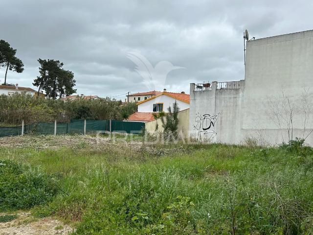 Terreno Urbano Brejos de Azeitão