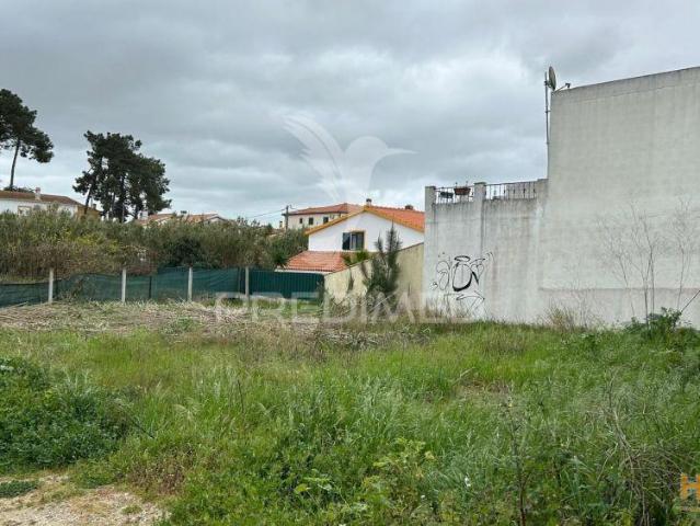 Terreno Urbano Brejos de Azeitão | 26064081426