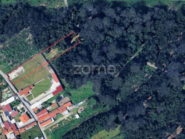 Terreno Urbano | Bunheiro