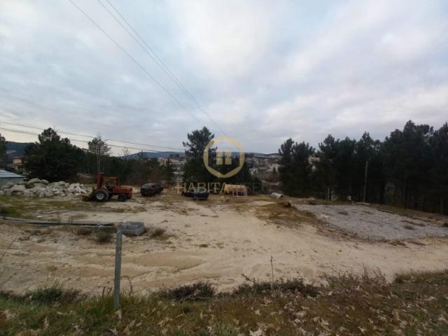 Terreno Urbano Castro Daire Viseu