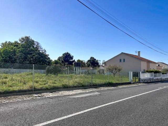 Terreno Urbano | Chão da Parada Perto da Baía de São Martinho do Porto