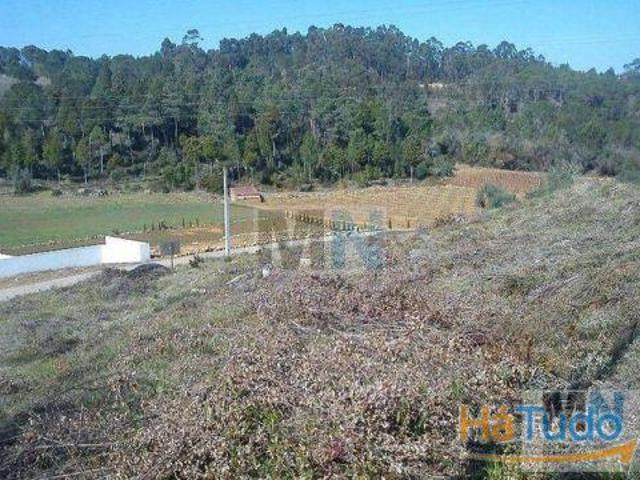 Terreno urbano com 1500 m2 Coimbra | 26083282506