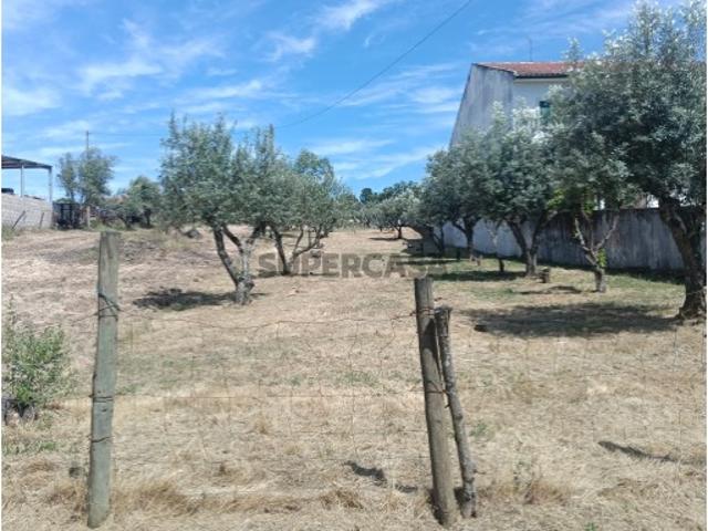 Terreno Urbano com 1.520 m² para construção, na Carregueira Chamusca