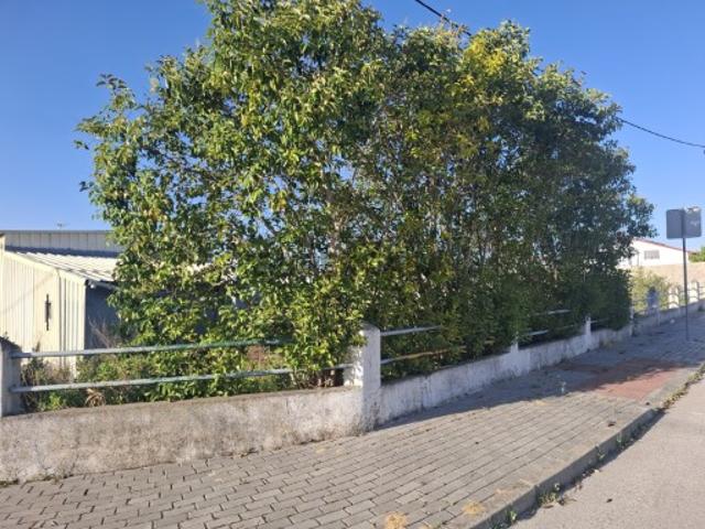 Terreno urbano com 1.250 m², situado na Quinta da Marquesa