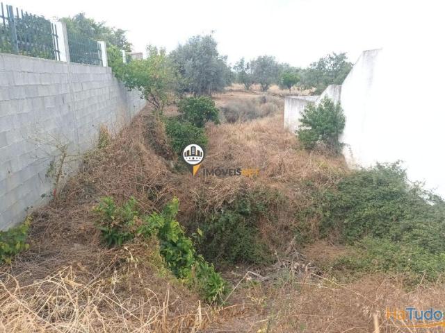 Terreno urbano com 250m2, Venda, Castelo Branco | 26083961347