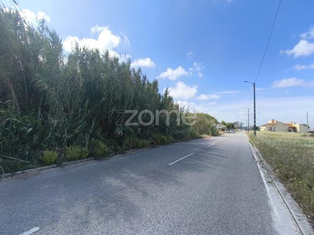 Terreno Urbano com 2.500 m² em Lombomeão – Vagos
