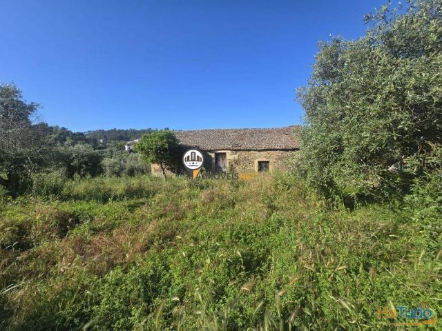 Terreno urbano com 3880m2 com possibilidade de transformar em vários lotes, Salgueiro do Campo | 26083983237