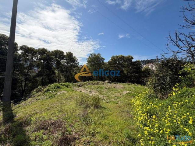 Terreno urbano com 390 m², localizado em Amarante | 26064076970