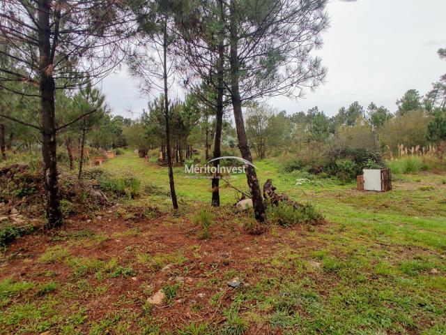 Terreno urbano, com 42.500 m2 em Argivai