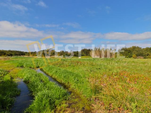 Terreno URBANO com 45.000m2 PLANO com grande potencial e ótima localização Silveira