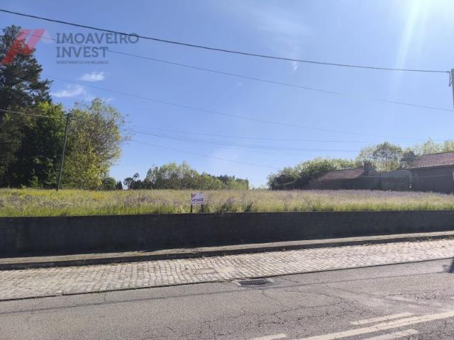 Terreno Urbano com 4.000 m² na Mamarrosa