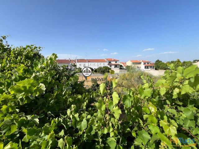 Terreno urbano com 635m2, Venda, Castelo Branco | 26083997273