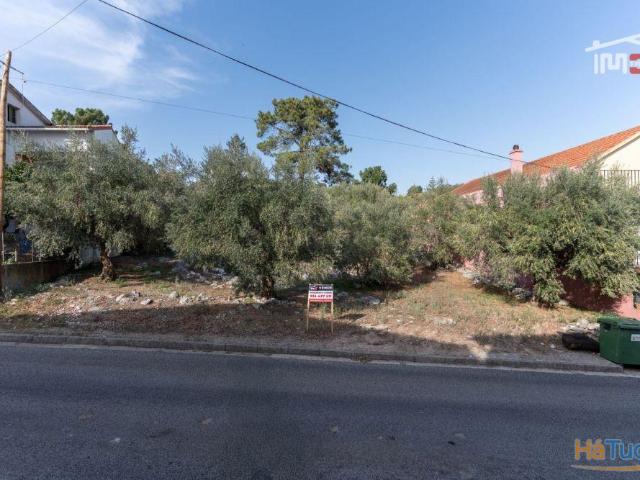 TERRENO URBANO COM AREA DE 1659 M2 PARA CONSTRUÇÃO EM MIRA DE AIRE PORTO DE MOS | 26064063685