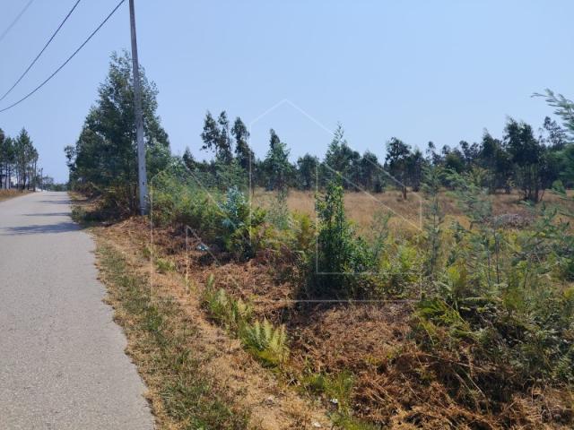 Terreno Urbano com Excelente Frente em Valongo do Vouga