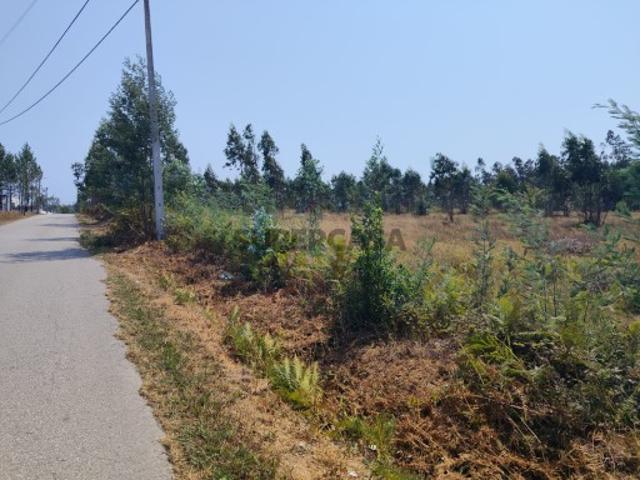 Terreno Urbano com Excelente Frente em Valongo do Vouga