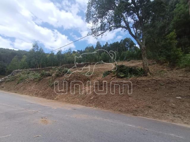 Terreno Urbano com projeto aprovado em Vilarelho