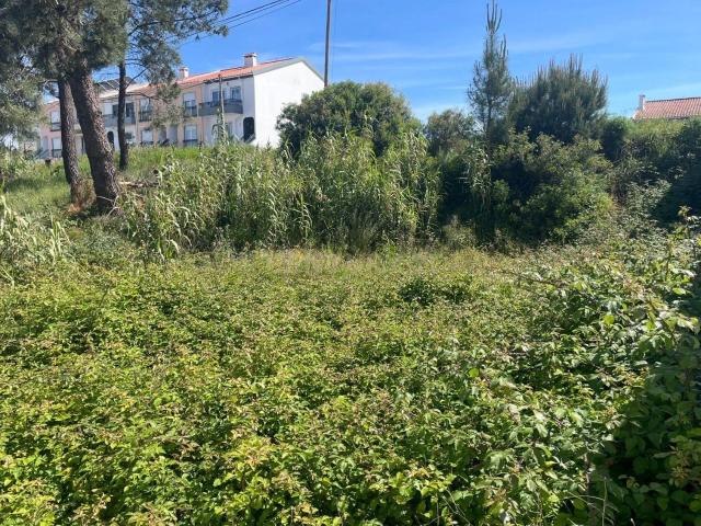 Terreno Urbano com Projeto Aprovado | Quinta da Madalena | Charneca da Caparica