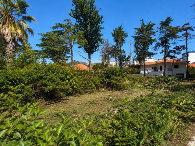 Terreno Urbano com Projeto para Moradia T5 em Santo Amaro de Oeiras