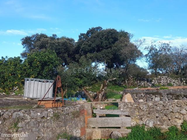 Terreno Urbano com Ruinas