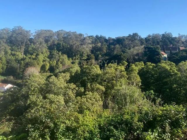 Terreno Urbano com viabilidade de construção Sintra