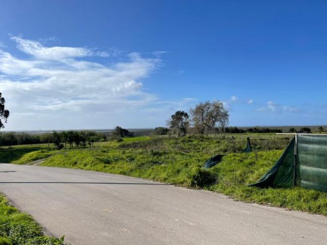 Terreno urbano com vista para a Ria de Aveiro, em Cacia