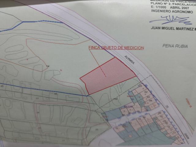 TERRENO URBANO DE 4000 METROS CUADRADOS EN VENTA EN BULLAS