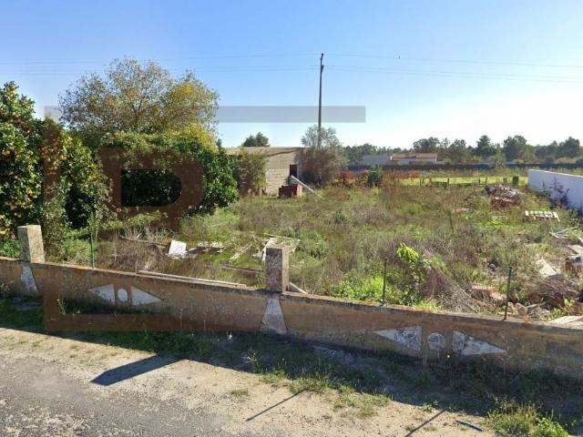 Terreno Urbano de 4000m² no Granho | Potencial para 6 Moradias