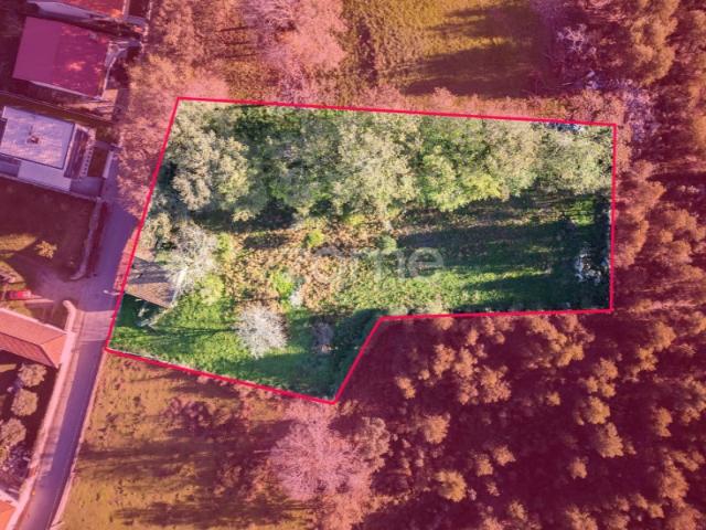 Terreno Urbano de 3053m² com Ruína