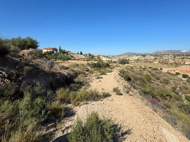 TERRENO URBANO DE 3.000 M2 ZONA ABANILLA, MURCIA