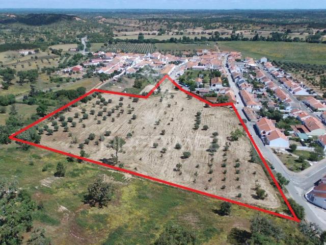 Terreno urbano e Lote em São Domingos