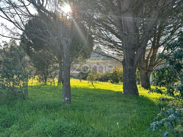 Terreno Urbano em Aguim com 2650m2