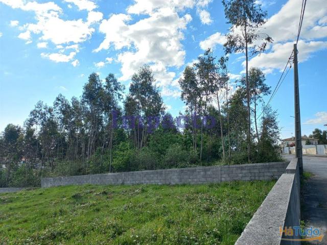 Terreno Urbano em Escariz, Arouca | 26054042848