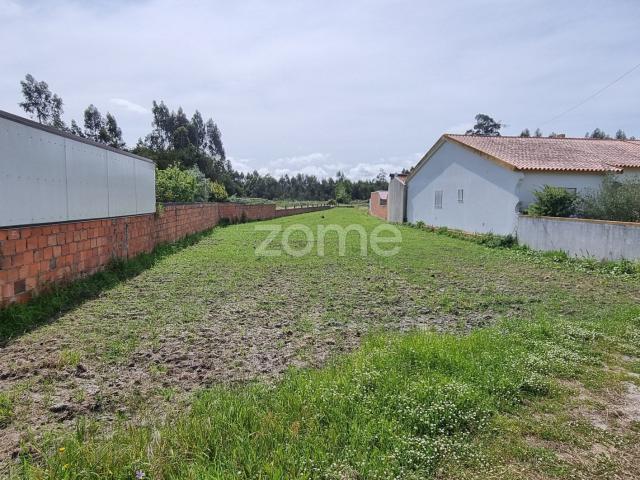 Terreno Urbano| Vagos| Fonte de Angeão|1370m²|14m Frente