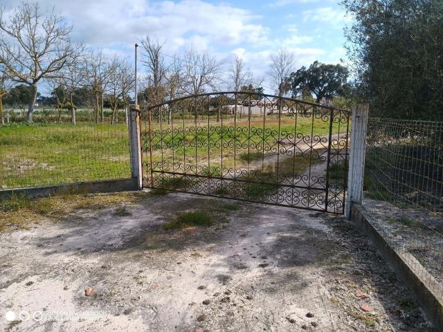 Terreno Urbano em Marinhais, Salvaterra de Magos 52.000€