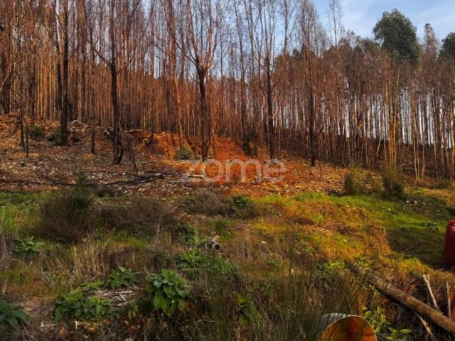 Terreno Urbano em Melres