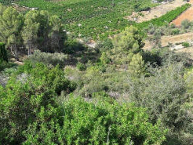 Terreno Urbano em Monte Pego – Oportunidade de Investimento na Marina Alta