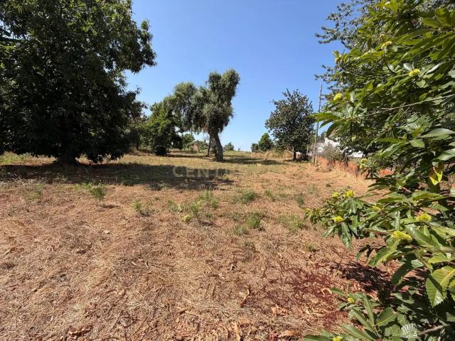 Terreno Urbano em Nossa Senhora do Pranto, Ferreira do Zêzere
