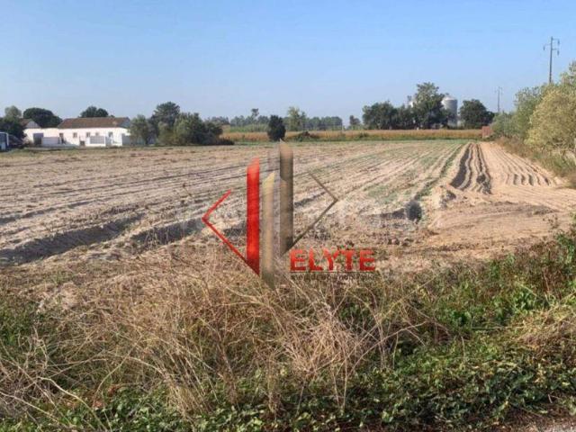 Terreno Urbano em Salvaterra de Magos | 26084058968