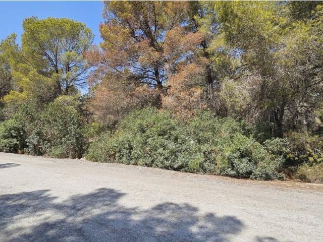 Terreno Urbano en venta