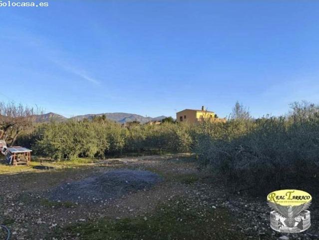 TERRENO URBANO EN VENTA EN URBANIZACIÓN SERRADALT